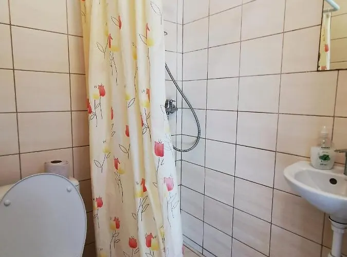 Vendégház Poilsis Dzuku 10 A 3*